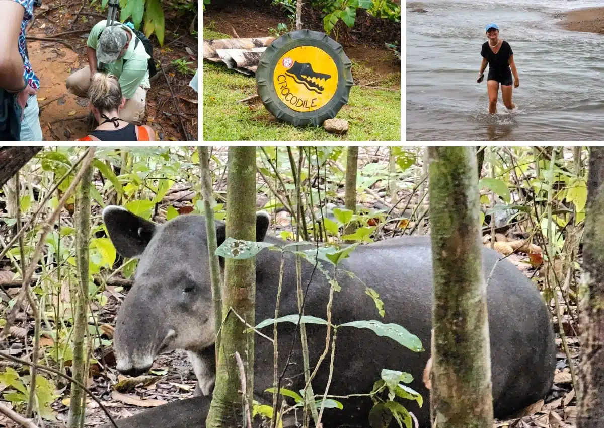 3 semaines au Costa Rica