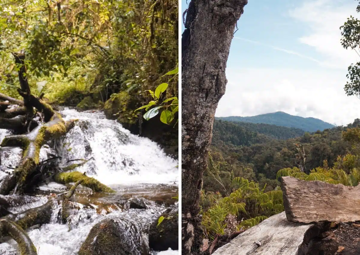 3 semaines au Costa Rica