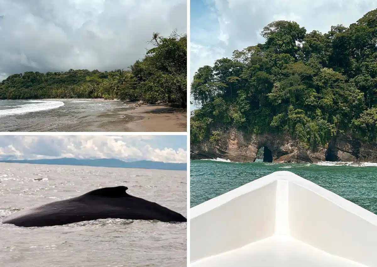 3 semaines au Costa Rica