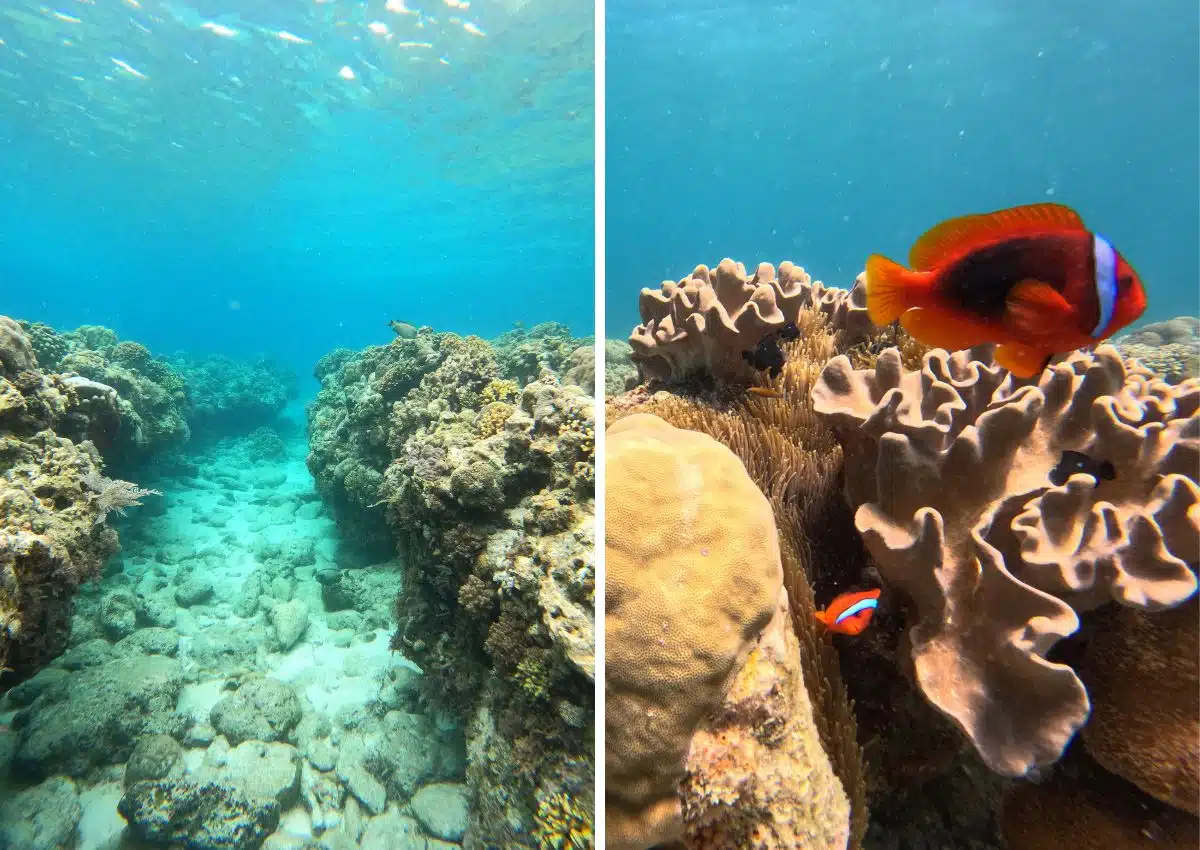 que faire à Siquijor