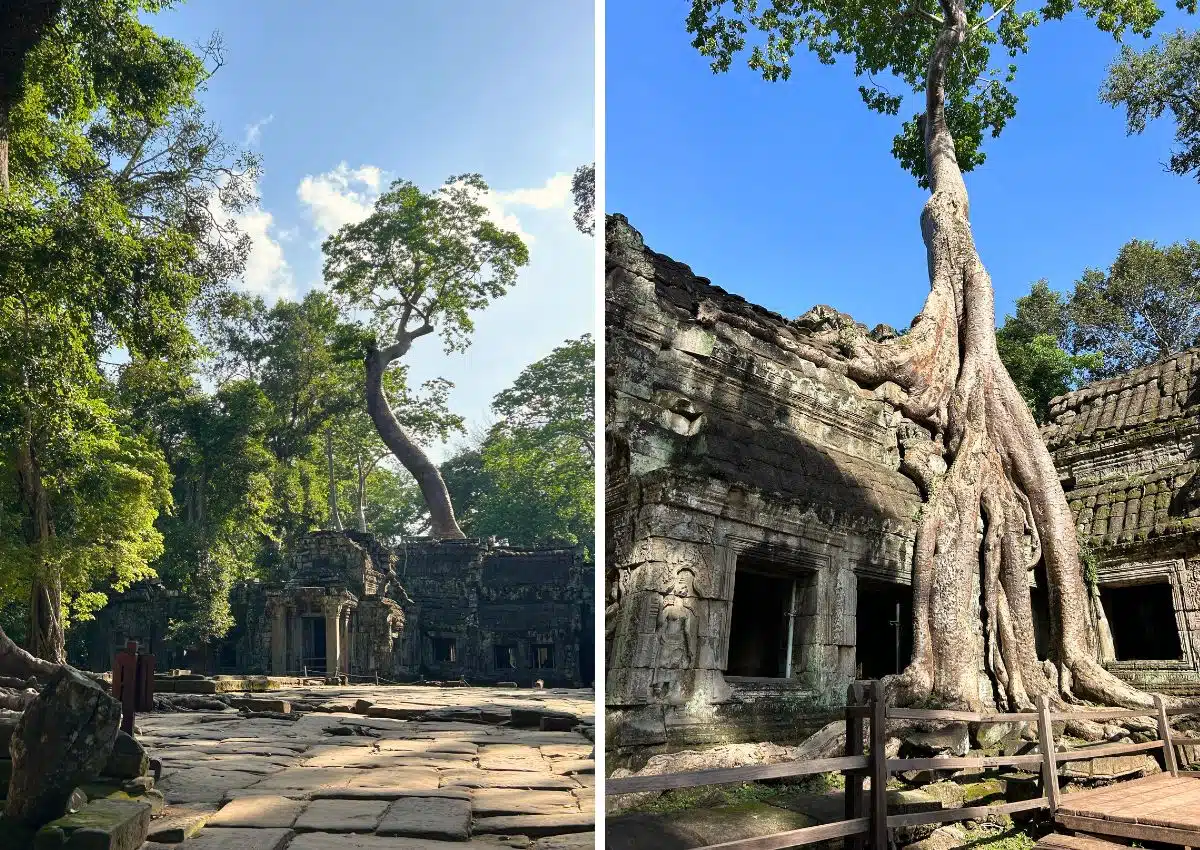 visiter les temples d'angkor