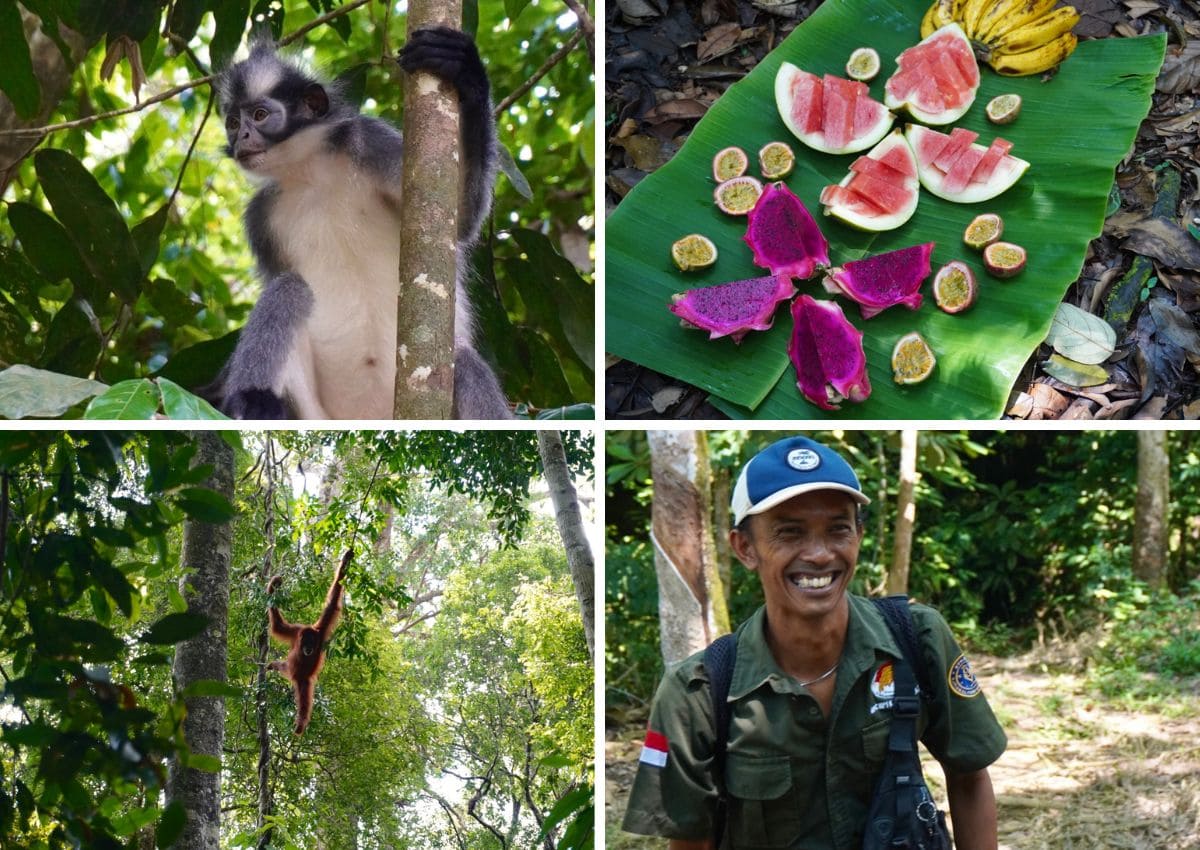 7 jours Sumatra