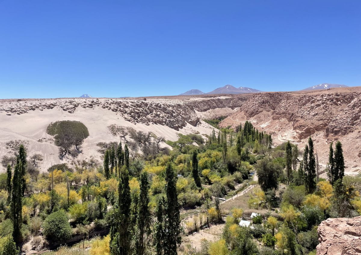 Visiter le désert d'Atacama Jere Valley