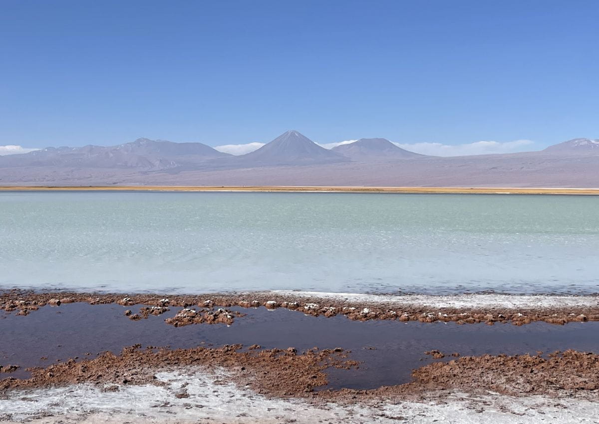 Visiter le désert d'Atacama Laguna Tebinkiche