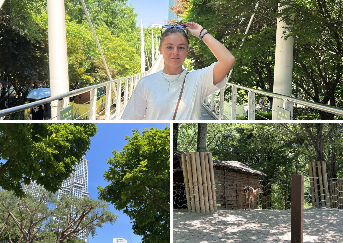 visiter séoul en 3 jours