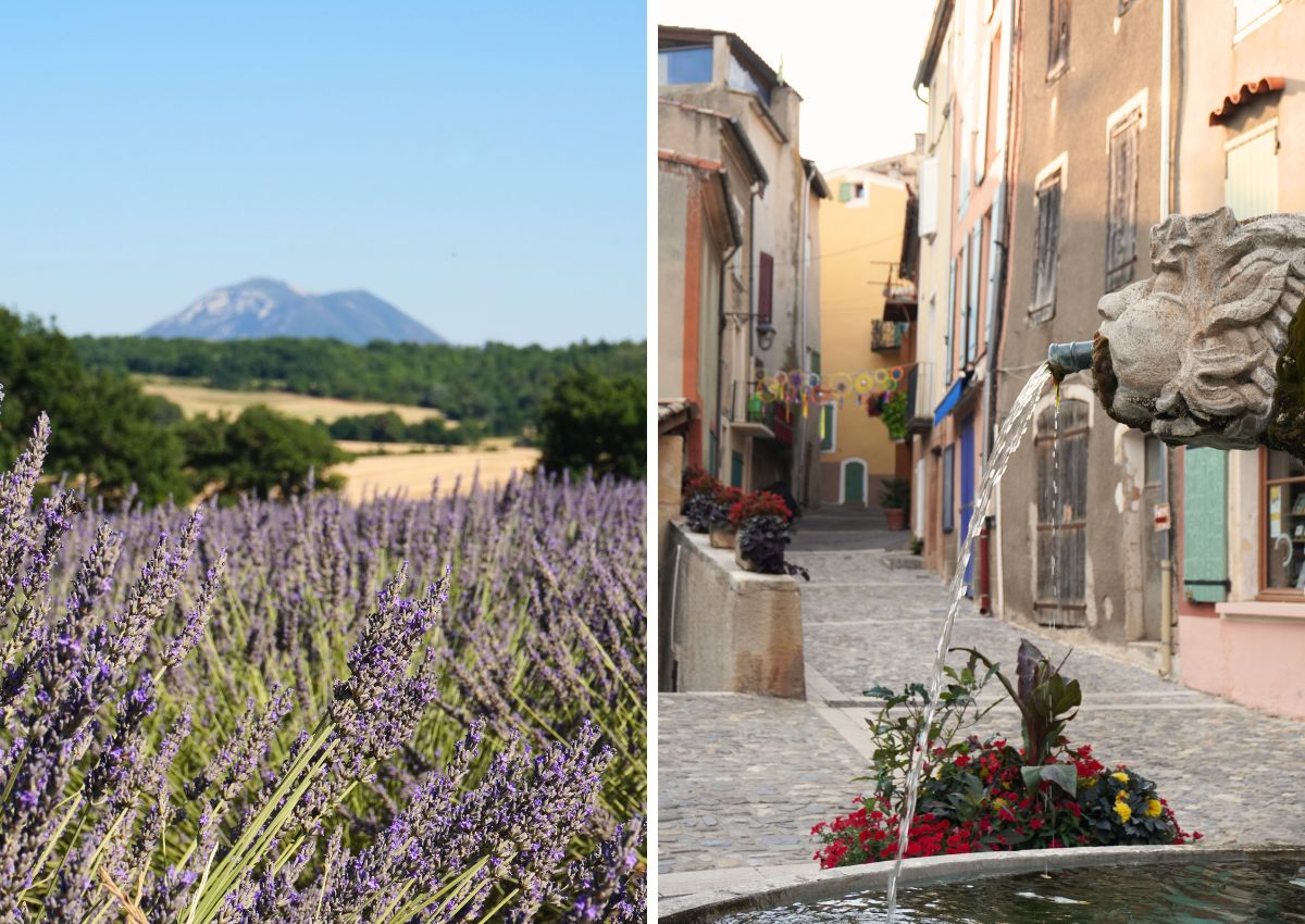 2 semaines en Provence