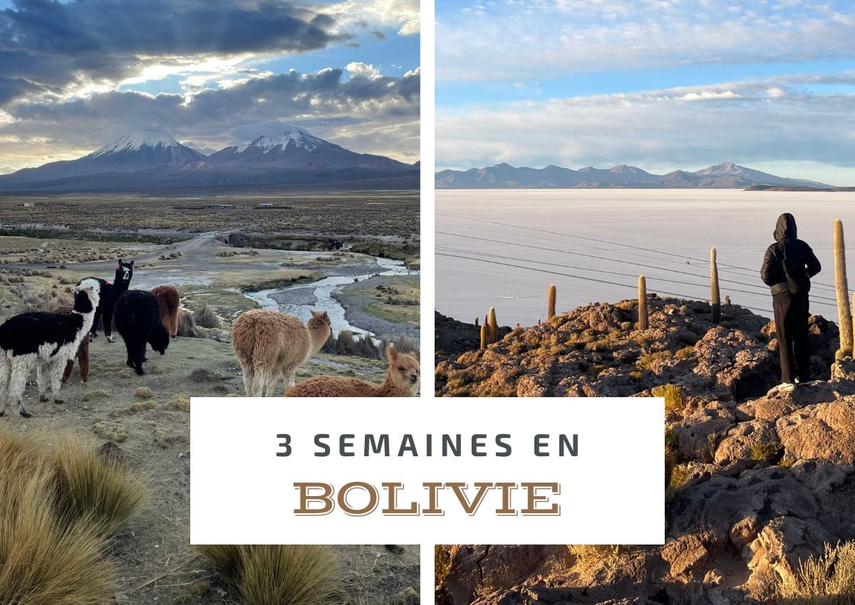 3 semaines en Bolivie