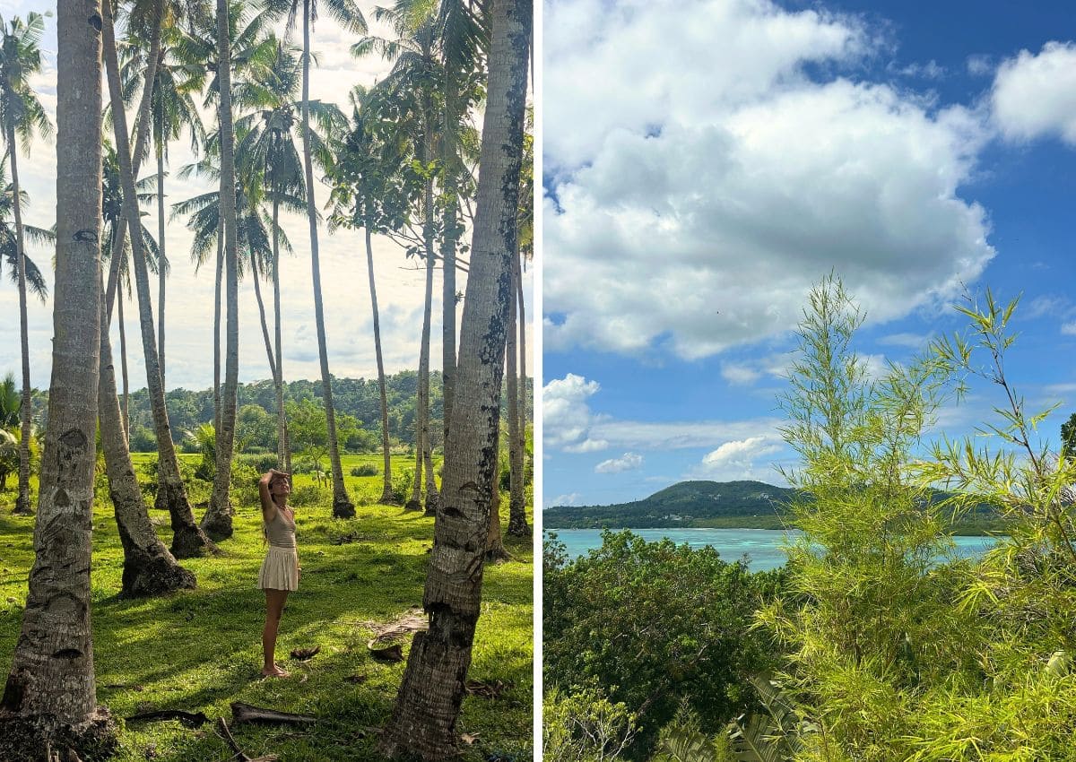 visiter bohol 4 jours