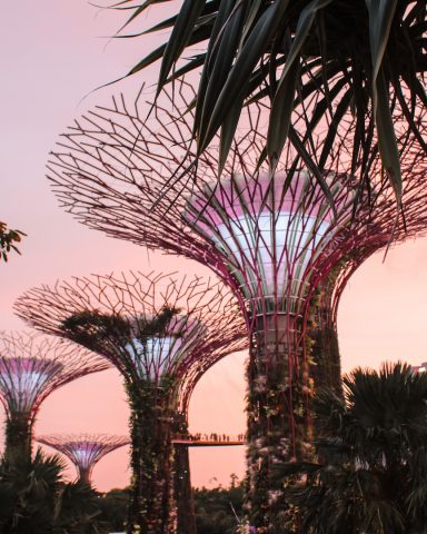Graden by the Bay à Singapour